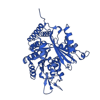6350_3jal_E_v1-3
Cryo-EM structure of GMPCPP-microtubule co-polymerized with EB3