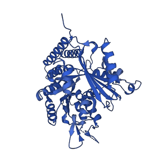 6350_3jal_E_v1-4
Cryo-EM structure of GMPCPP-microtubule co-polymerized with EB3