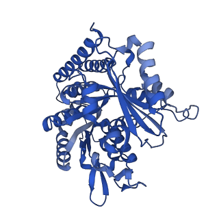 6350_3jal_F_v1-3
Cryo-EM structure of GMPCPP-microtubule co-polymerized with EB3