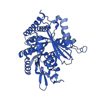 6350_3jal_F_v1-4
Cryo-EM structure of GMPCPP-microtubule co-polymerized with EB3