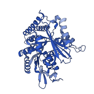 6350_3jal_G_v1-3
Cryo-EM structure of GMPCPP-microtubule co-polymerized with EB3