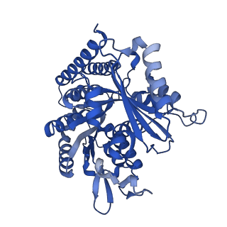 6350_3jal_G_v1-4
Cryo-EM structure of GMPCPP-microtubule co-polymerized with EB3