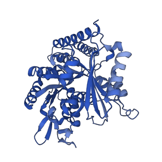 6350_3jal_H_v1-3
Cryo-EM structure of GMPCPP-microtubule co-polymerized with EB3