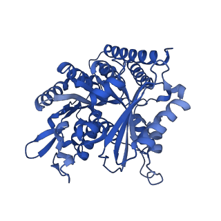 6350_3jal_I_v1-3
Cryo-EM structure of GMPCPP-microtubule co-polymerized with EB3