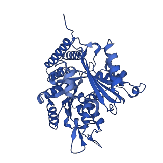 6350_3jal_J_v1-3
Cryo-EM structure of GMPCPP-microtubule co-polymerized with EB3