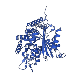 6350_3jal_K_v1-3
Cryo-EM structure of GMPCPP-microtubule co-polymerized with EB3