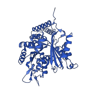 6350_3jal_K_v1-4
Cryo-EM structure of GMPCPP-microtubule co-polymerized with EB3