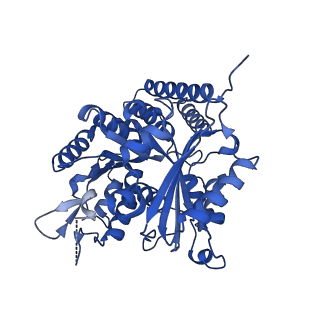 6350_3jal_L_v1-3
Cryo-EM structure of GMPCPP-microtubule co-polymerized with EB3