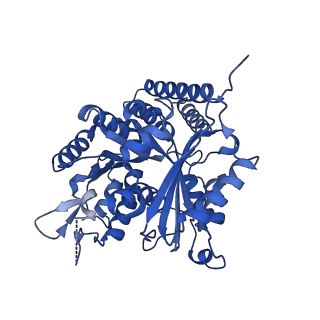 6350_3jal_L_v1-4
Cryo-EM structure of GMPCPP-microtubule co-polymerized with EB3