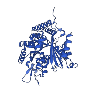 6351_3jar_A_v1-3
Cryo-EM structure of GDP-microtubule co-polymerized with EB3