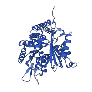 6351_3jar_A_v1-4
Cryo-EM structure of GDP-microtubule co-polymerized with EB3