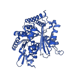 6351_3jar_B_v1-3
Cryo-EM structure of GDP-microtubule co-polymerized with EB3