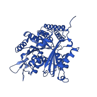 6351_3jar_C_v1-3
Cryo-EM structure of GDP-microtubule co-polymerized with EB3