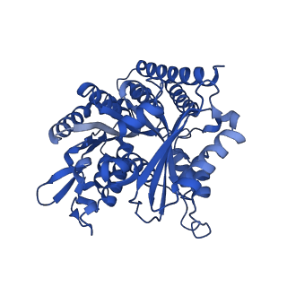 6351_3jar_D_v1-3
Cryo-EM structure of GDP-microtubule co-polymerized with EB3