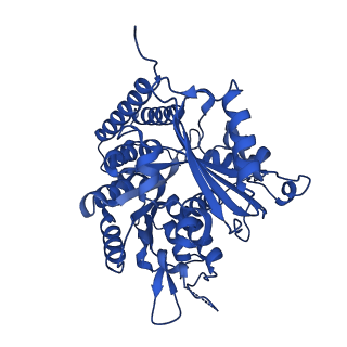 6351_3jar_E_v1-3
Cryo-EM structure of GDP-microtubule co-polymerized with EB3