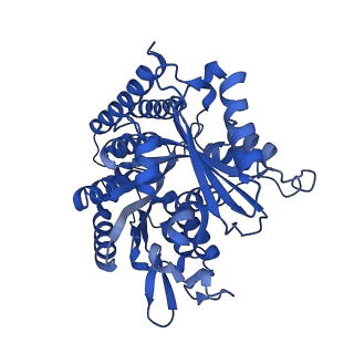 6351_3jar_F_v1-3
Cryo-EM structure of GDP-microtubule co-polymerized with EB3