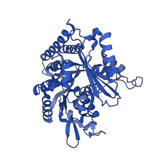 6351_3jar_F_v1-4
Cryo-EM structure of GDP-microtubule co-polymerized with EB3