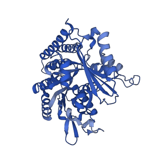 6351_3jar_G_v1-3
Cryo-EM structure of GDP-microtubule co-polymerized with EB3