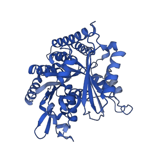 6351_3jar_H_v1-4
Cryo-EM structure of GDP-microtubule co-polymerized with EB3