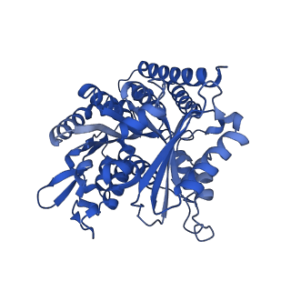 6351_3jar_I_v1-3
Cryo-EM structure of GDP-microtubule co-polymerized with EB3