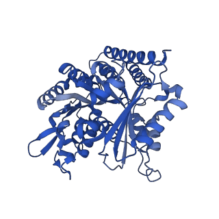 6351_3jar_I_v1-4
Cryo-EM structure of GDP-microtubule co-polymerized with EB3