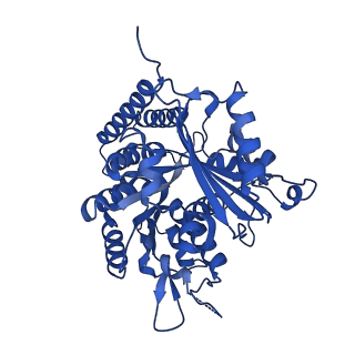6351_3jar_J_v1-4
Cryo-EM structure of GDP-microtubule co-polymerized with EB3
