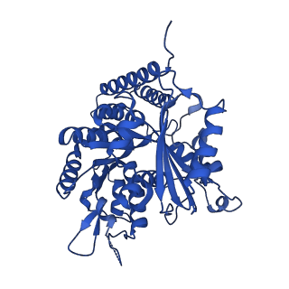 6351_3jar_K_v1-3
Cryo-EM structure of GDP-microtubule co-polymerized with EB3