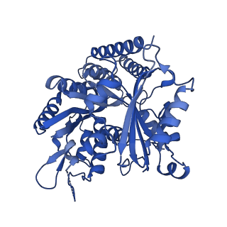 6352_3jat_A_v1-4
Cryo-EM structure of GMPCPP-microtubule (14 protofilaments) decorated with kinesin