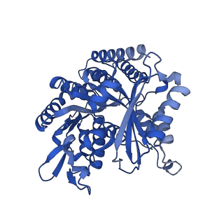 6352_3jat_B_v1-4
Cryo-EM structure of GMPCPP-microtubule (14 protofilaments) decorated with kinesin