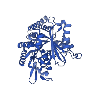 6352_3jat_F_v1-3
Cryo-EM structure of GMPCPP-microtubule (14 protofilaments) decorated with kinesin