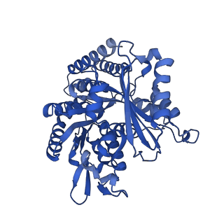6352_3jat_F_v1-4
Cryo-EM structure of GMPCPP-microtubule (14 protofilaments) decorated with kinesin