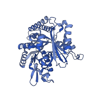 6352_3jat_G_v1-3
Cryo-EM structure of GMPCPP-microtubule (14 protofilaments) decorated with kinesin