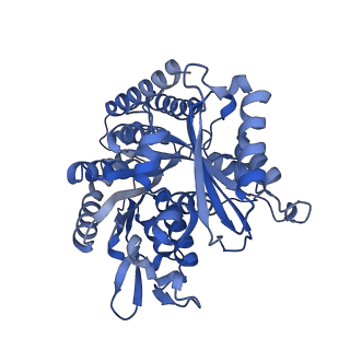 6352_3jat_G_v1-4
Cryo-EM structure of GMPCPP-microtubule (14 protofilaments) decorated with kinesin