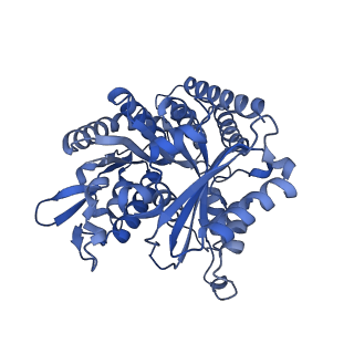 6352_3jat_I_v1-4
Cryo-EM structure of GMPCPP-microtubule (14 protofilaments) decorated with kinesin