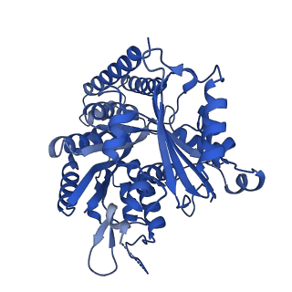 6352_3jat_J_v1-4
Cryo-EM structure of GMPCPP-microtubule (14 protofilaments) decorated with kinesin