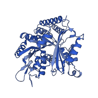 6352_3jat_K_v1-4
Cryo-EM structure of GMPCPP-microtubule (14 protofilaments) decorated with kinesin