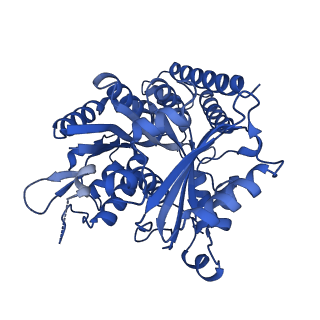 6352_3jat_L_v1-4
Cryo-EM structure of GMPCPP-microtubule (14 protofilaments) decorated with kinesin