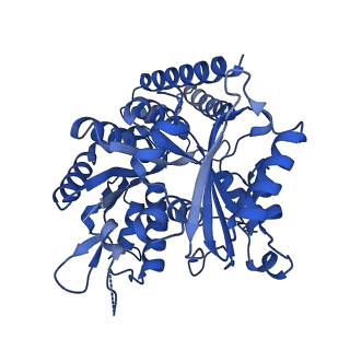 6353_3jas_A_v1-4
Cryo-EM structure of dynamic GDP-microtubule (14 protofilaments) decorated with kinesin