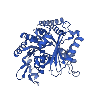 6353_3jas_B_v1-4
Cryo-EM structure of dynamic GDP-microtubule (14 protofilaments) decorated with kinesin