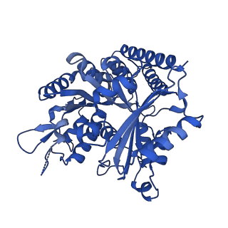 6353_3jas_C_v1-4
Cryo-EM structure of dynamic GDP-microtubule (14 protofilaments) decorated with kinesin