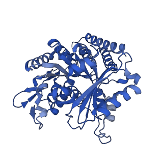 6353_3jas_D_v1-4
Cryo-EM structure of dynamic GDP-microtubule (14 protofilaments) decorated with kinesin