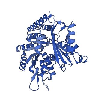 6353_3jas_E_v1-4
Cryo-EM structure of dynamic GDP-microtubule (14 protofilaments) decorated with kinesin