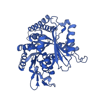 6353_3jas_F_v1-4
Cryo-EM structure of dynamic GDP-microtubule (14 protofilaments) decorated with kinesin