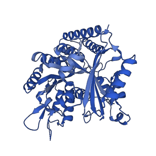 6353_3jas_K_v1-4
Cryo-EM structure of dynamic GDP-microtubule (14 protofilaments) decorated with kinesin