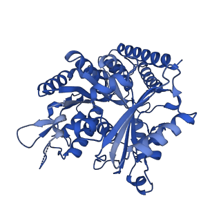 6353_3jas_L_v1-4
Cryo-EM structure of dynamic GDP-microtubule (14 protofilaments) decorated with kinesin