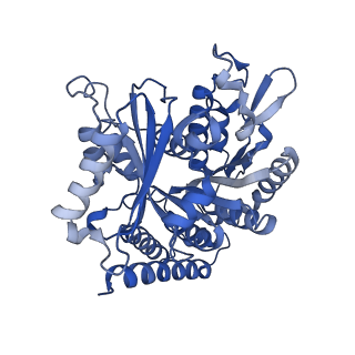 6354_3jaw_B_v1-3
Atomic model of a microtubule seam based on a cryo-EM reconstruction of the EB3-bound microtubule (merged dataset containing tubulin bound to GTPgammaS, GMPCPP, and GDP)