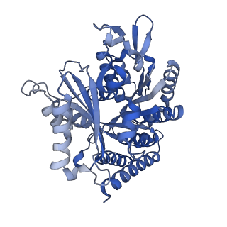 6354_3jaw_D_v1-3
Atomic model of a microtubule seam based on a cryo-EM reconstruction of the EB3-bound microtubule (merged dataset containing tubulin bound to GTPgammaS, GMPCPP, and GDP)