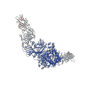 36141_8jb5_A_v1-1
The cryo-EM structure of Paeniclostridium sordellii lethal toxin (TcsL)