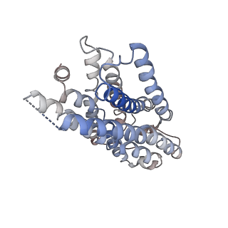 36144_8jbf_B_v1-0
Senktide bound to active human neurokinin 3 receptor in complex with Gq