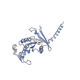 36144_8jbf_C_v1-0
Senktide bound to active human neurokinin 3 receptor in complex with Gq